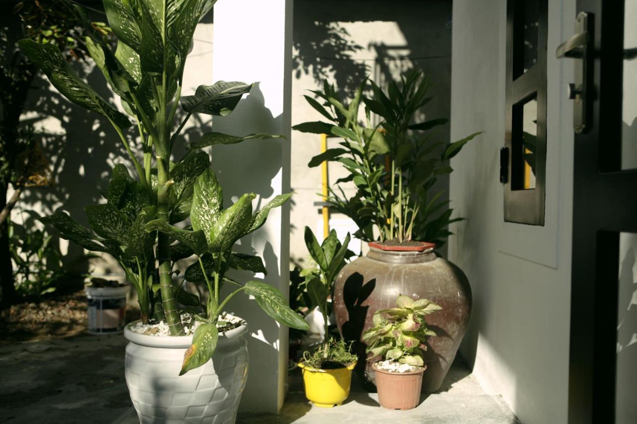 Khanh'S Home เว้ ภายนอก รูปภาพ